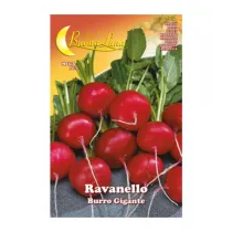 SEMI ORTO RAVANELLO GIGANTE (10