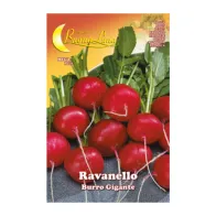 SEMI ORTO RAVANELLO GIGANTE (10