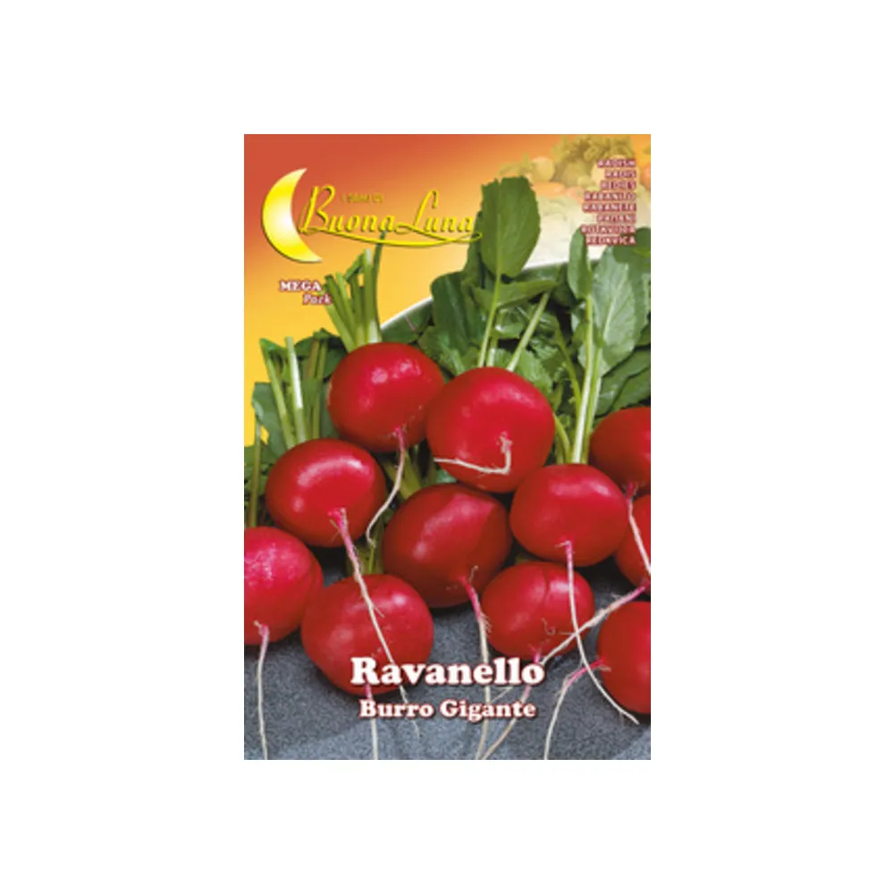 SEMI ORTO RAVANELLO GIGANTE (10