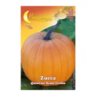 SEMI ORTO ZUCCA QUINTALE (10
