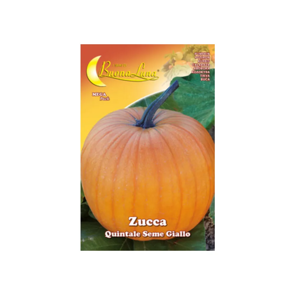 SEMI ORTO ZUCCA QUINTALE (10
