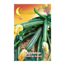 SEMI ORTO ZUCCHINO STRIATO NAPOLI (10