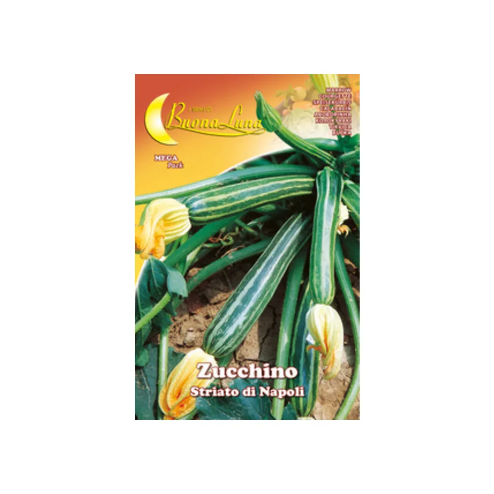 SEMI ORTO ZUCCHINO STRIATO NAPOLI (10
