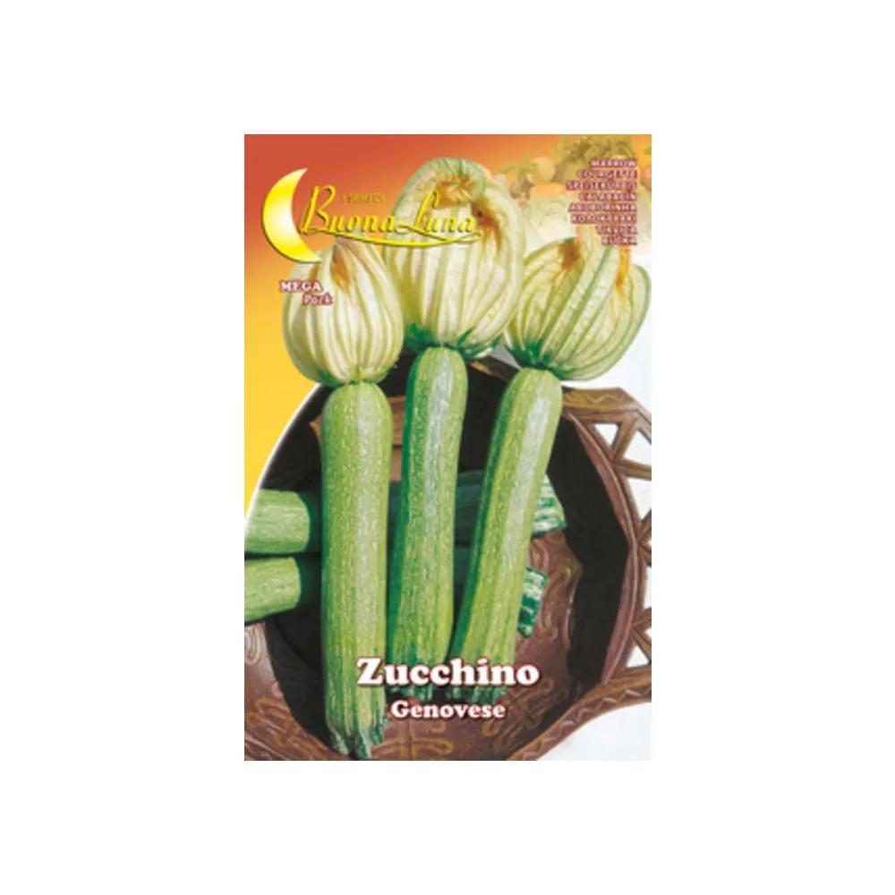 SEMI ORTO ZUCCHINO GENOVESE (10