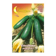 SEMI ORTO ZUCCHINO DIAMANT (10
