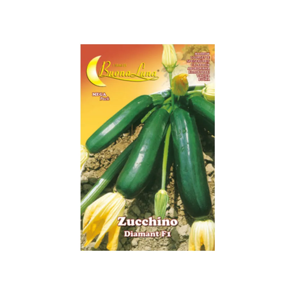 SEMI ORTO ZUCCHINO DIAMANT (10