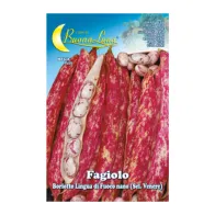 SEMI ORTO FAGIOLI NANI BORLOTTI (5