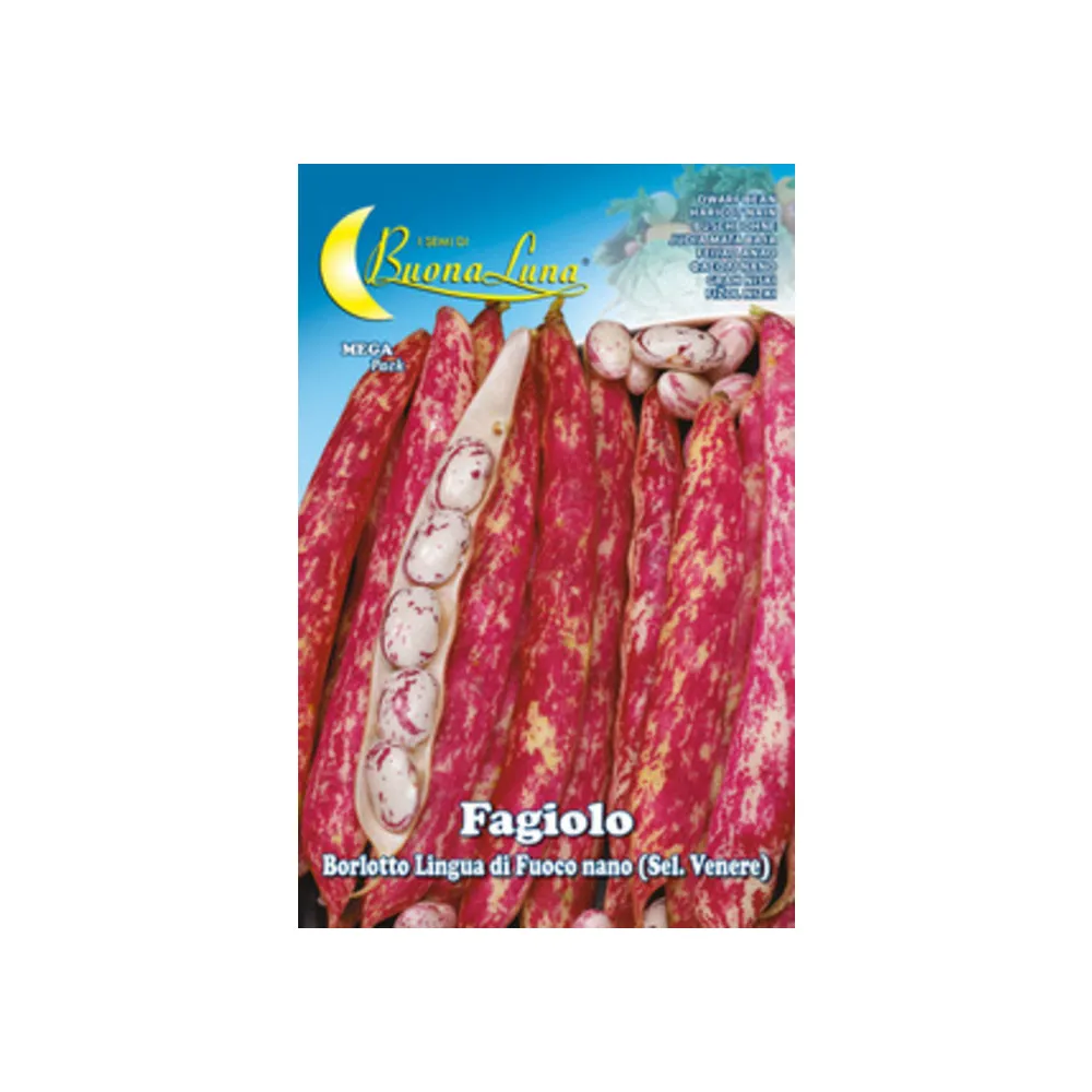 SEMI ORTO FAGIOLI NANI BORLOTTI (5