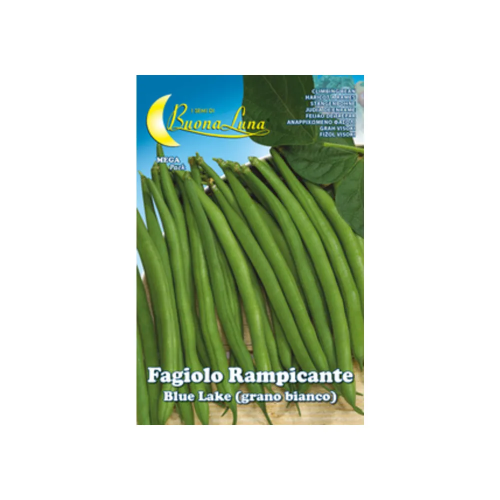 SEMI ORTO FAGIOLI RAMPICANTI BIANCHI (5