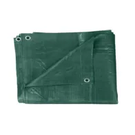 TELONE PE PESANTE C/OCCHIOLI 110 G VERDE  6 X 10 M (2