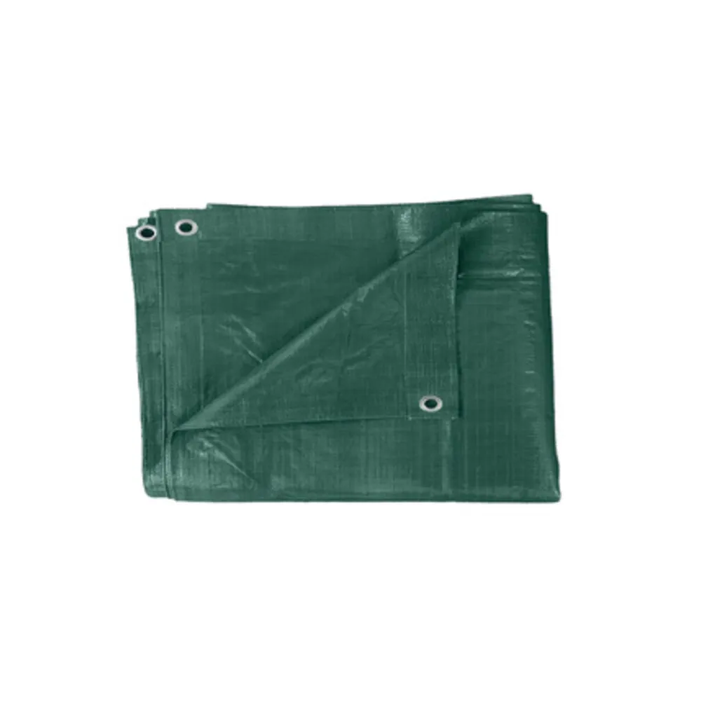 TELONE PE PESANTE C/OCCHIOLI 110 G VERDE 8 X 10 M TELONE PE PESANTE C/OCCHIOLI 110 G VERDE 8 X 10 M