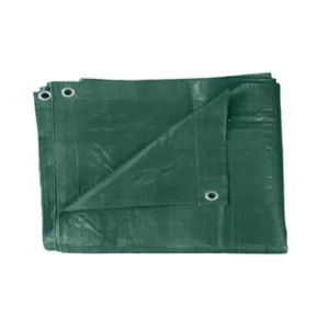 TELONE PE PESANTE C/OCCHIOLI 110 G VERDE  8 X 10 M