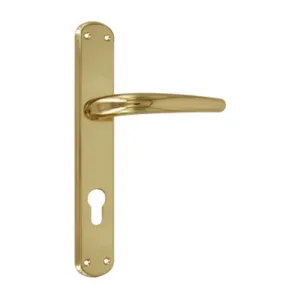 BL MANIGLIA TORINO F.Y. ORO LUCIDO V (4