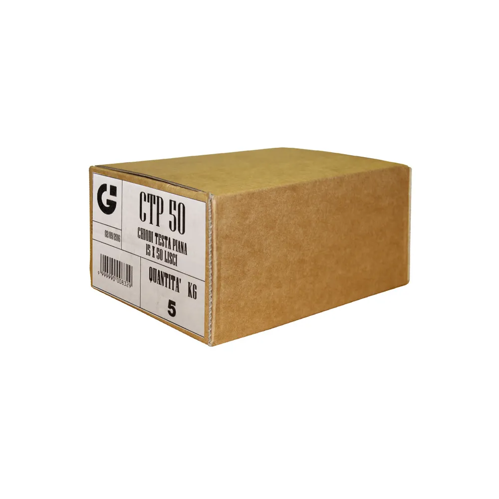 CHIODI TESTA PIANA 20X100 (5