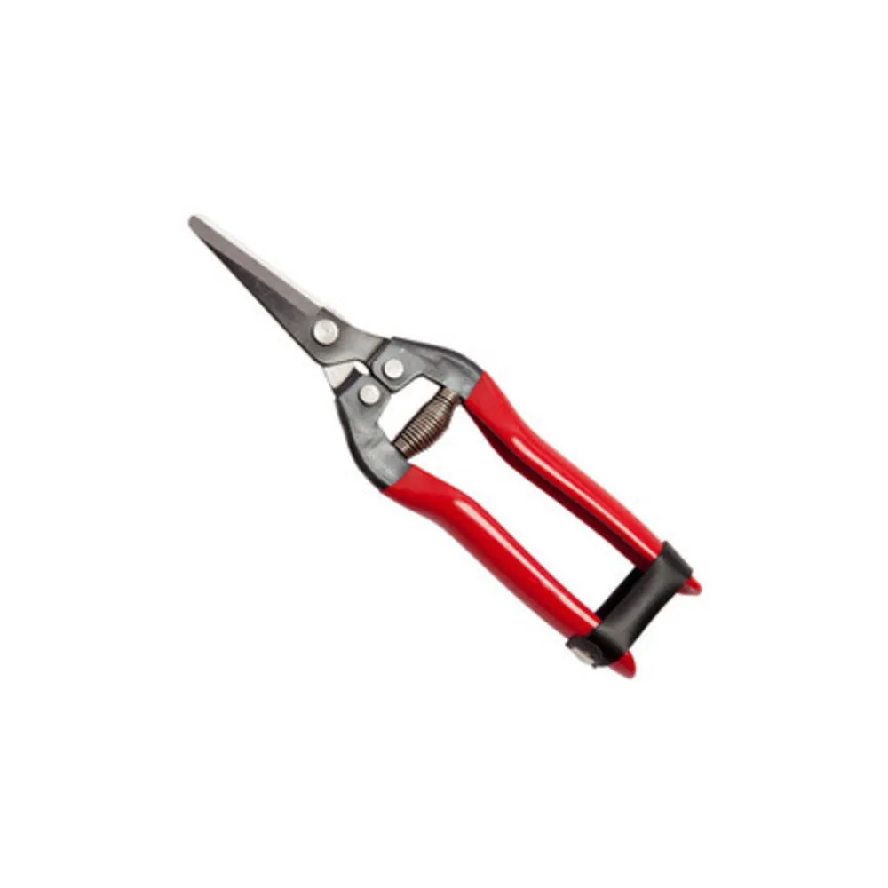FORBICI P/UVA FALCI LAME DRITTE 19 CM