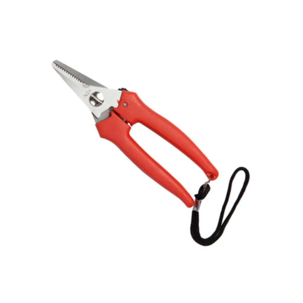 FORBICI P/UVA FALCI INOX 16 CM