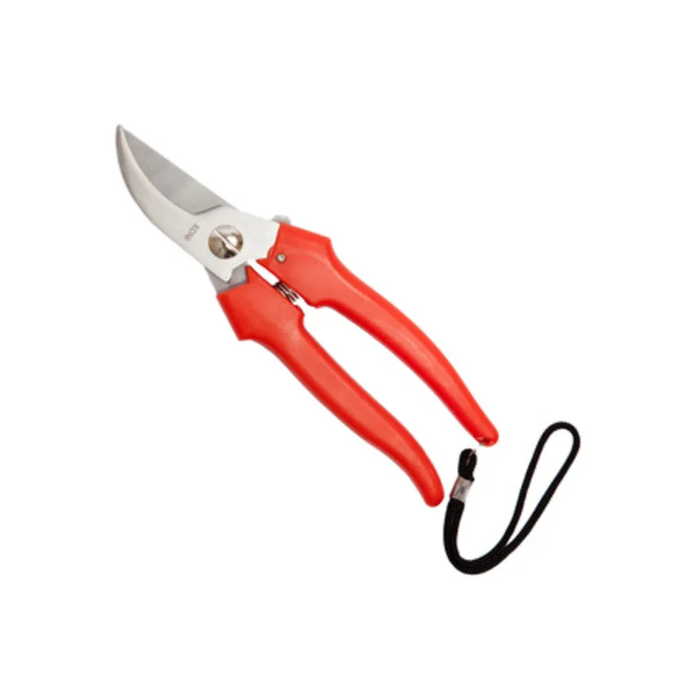 FORBICI P/UVA FALCI INOX 19 CM