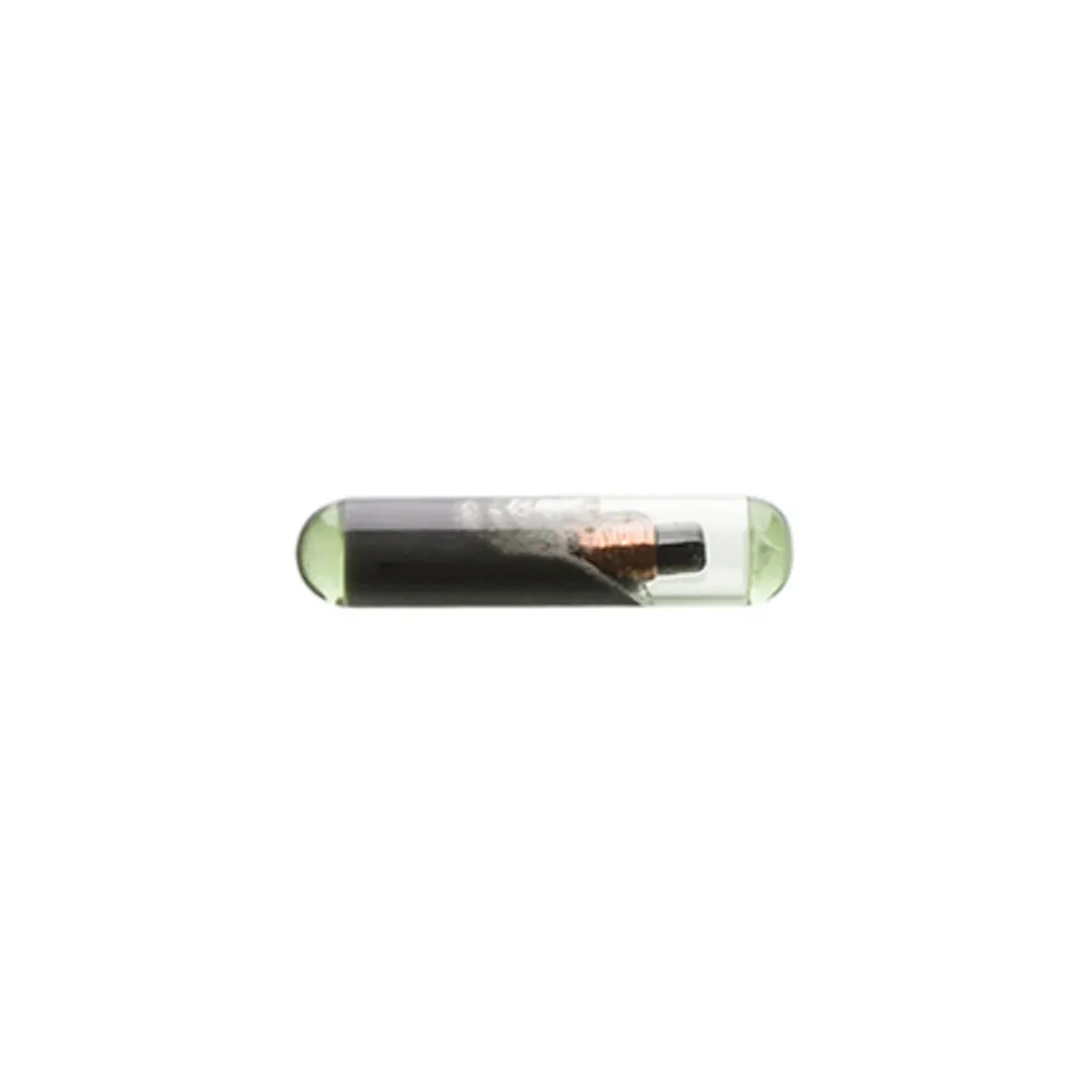 CHIAVI SILCA TRANSP.CHIP T48