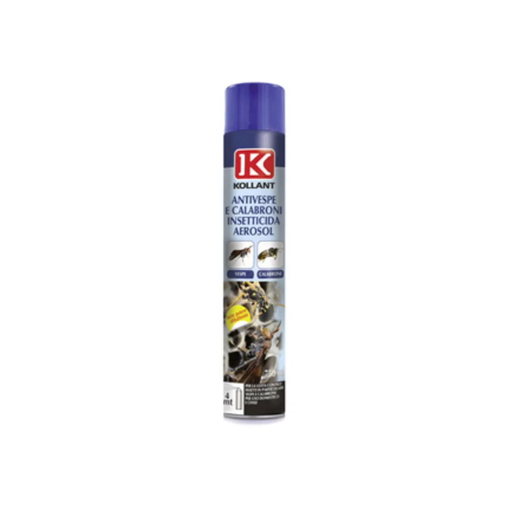 INSETTICIDA ANTIVESPE E CALABRONI AEROSOL 750 ML (12
