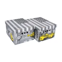 SCATOLA CARTONE CM 33X25X18H SET 2PZ COL.019 (12