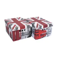 SCATOLA CARTONE CM 33X25X18H SET 2PZ COL.018 (12
