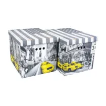 SCATOLA CARTONE CM 42X32X32H SET 2PZ COL.019 (12