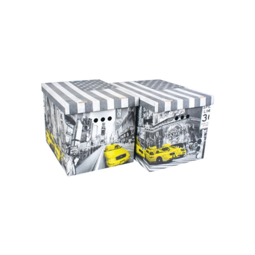 SCATOLA CARTONE CM 42X32X32H SET 2PZ COL.019 (12
