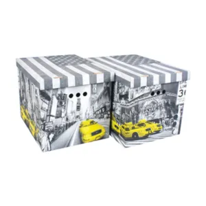 SCATOLA CARTONE CM 42X32X32H SET 2PZ COL.019 (12