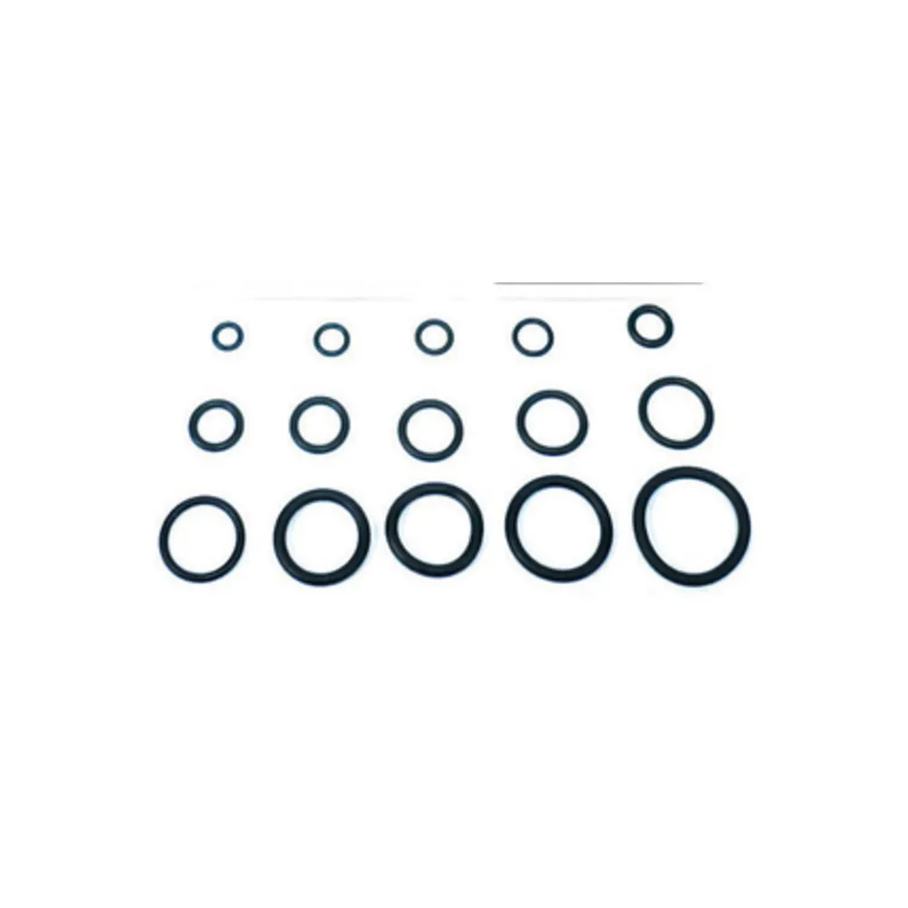 O-RING 12