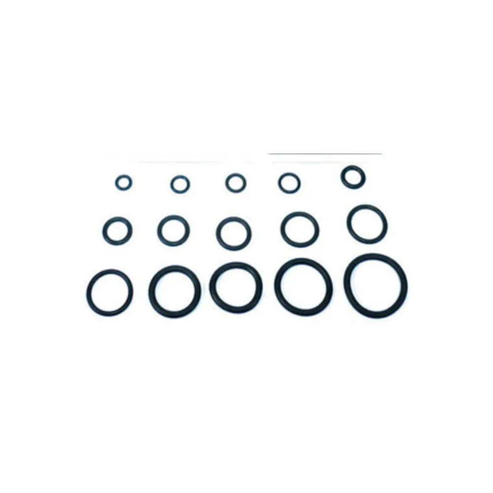 O-RING 13