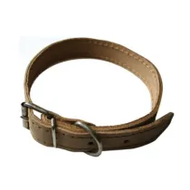 COLLARE P/CANI IN PELLE 20 X 440 MM (6