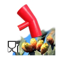 RACCOGLI FICHI DINDIA (10