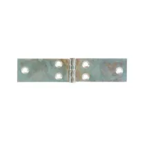 BL CERNIERA PERNO FISSO LUNGA 100X25 MM DA 2 PZ (6