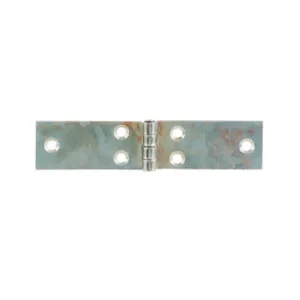 BL CERNIERA PERNO FISSO LUNGA 100X25 MM DA 2 PZ (6