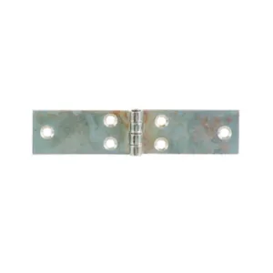 BL CERNIERA PERNO FISSO LUNGA 180X35 MM DA 2 PZ (6