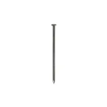C CHIODI TESTA PIANA BL.100G 10X25 (6,0 pz)