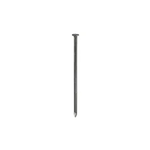 C CHIODI TESTA PIANA BL.100G 13X30 (6,0 pz)