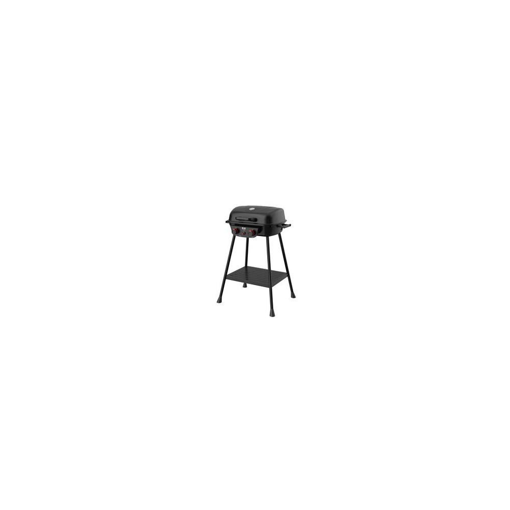 C BARBECUE A GAS 2 FUOCHI EASY HOT