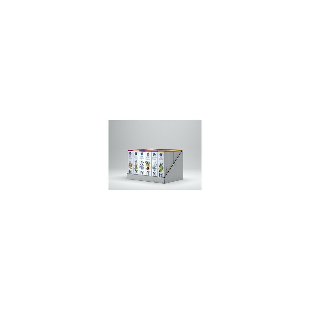 DIFFUSORE AMBIENTE 125ML ASSORTITO (24,0 pz) DIFFUSORE AMBIENTE 125ML ASSORTITO (24,0 pz)