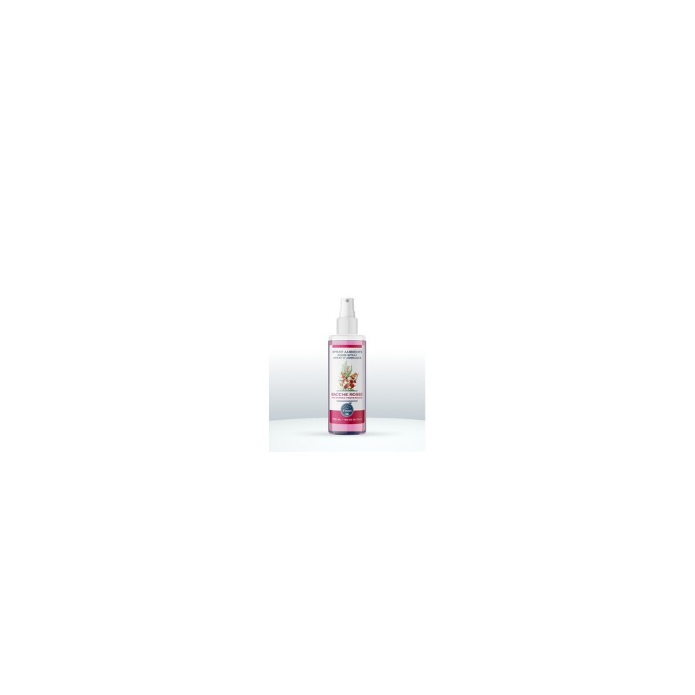 SPRAY AMBIENTE OFFICINA DEI FIORI 150ML BACCHE ROS (12,0 pz)