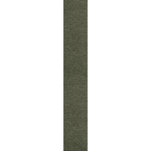 PASSATOIA RUSTIK VERDE H 52 (20,0 pz)