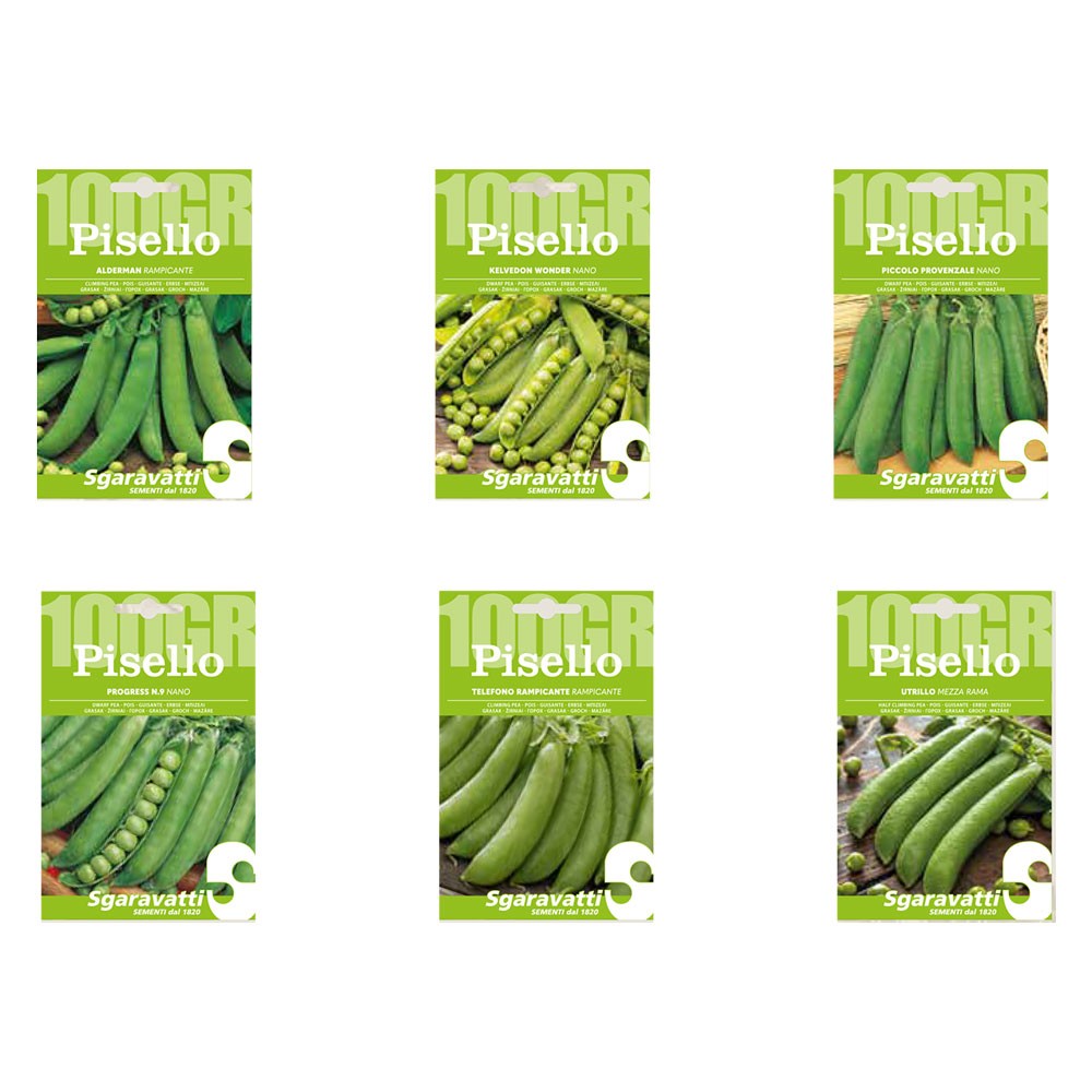 SEMI PER FAVE pisello progress n.9 - gr 250 SEMI PER FAVE pisello progress n.9 - gr 250