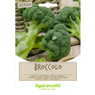SEMI PER FAVE broccoletto novantino riccio S. Marzano - gr 100