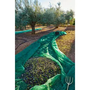 C RETE P/OLIVE ANTISPINA 80G  6X10M