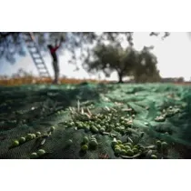 C RETE P/OLIVE ANTISPINA 32G 5 X200M CALABRIA