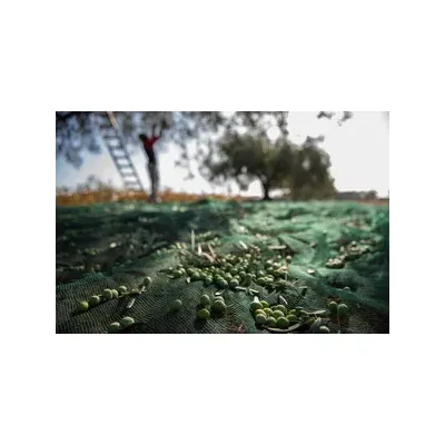 C RETE P/OLIVE ANTISPINA 32G 5 X200M CALABRIA