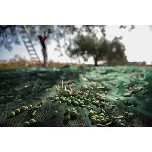 C RETE P/OLIVE ANTISPINA 32G 5 X200M CALABRIA