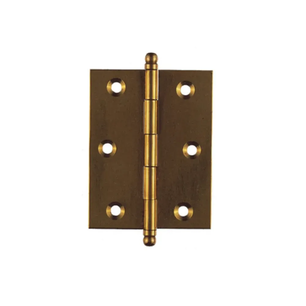 BL CERNIERA OTTONE 40 X 50 MM DA 2 PZ (6,0 pz)