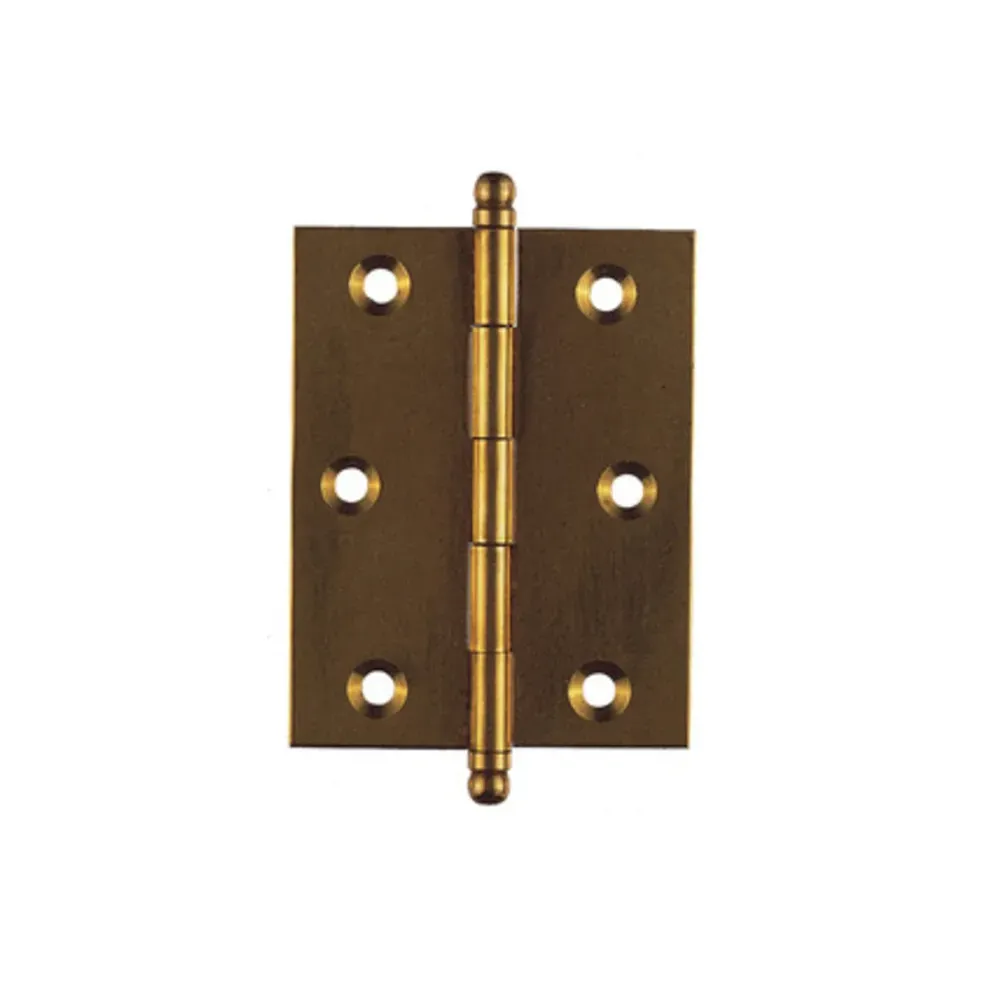BL CERNIERA OTTONE 55 X 70 MM DA 2 PZ (6,0 pz)