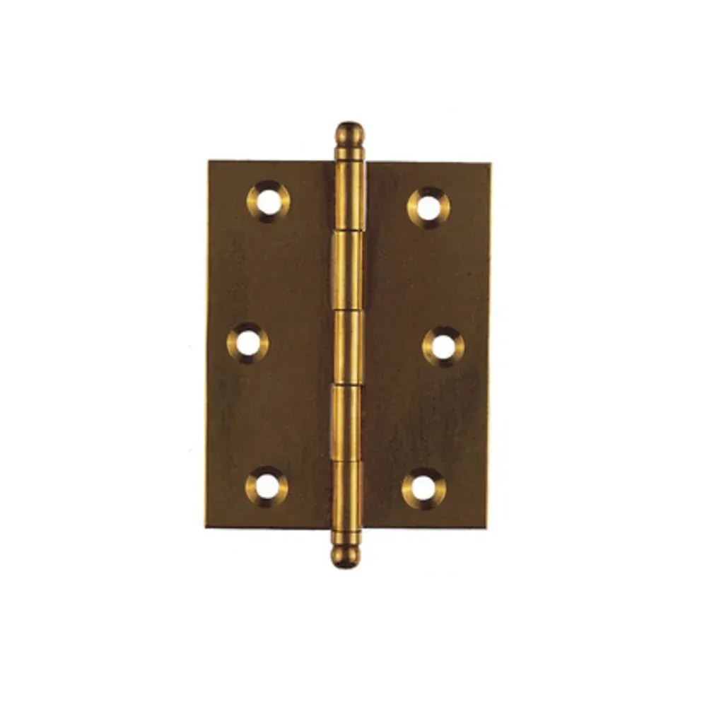 BL CERNIERA OTTONE 60 X 100 MM DA 2 PZ (6,0 pz)